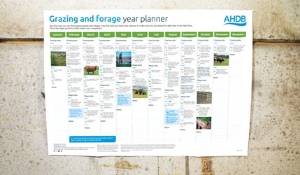 Grazing wall planner